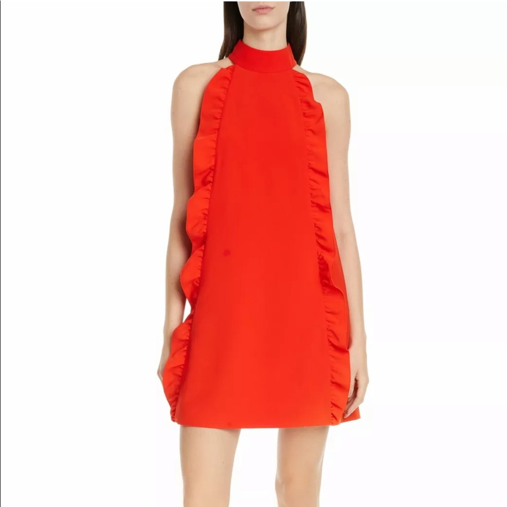 Ted baker dress